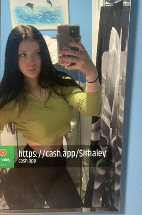 Haleyszklarz Quick model image