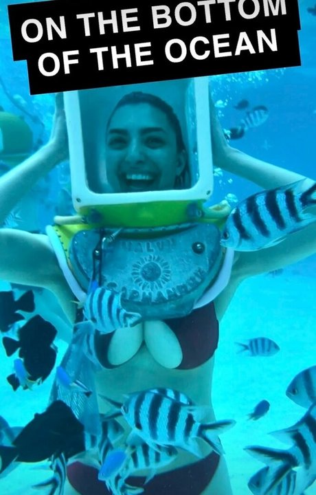 Rachel Levin adult star pic