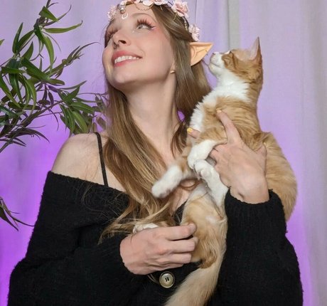 KamiCakes1 star nice image