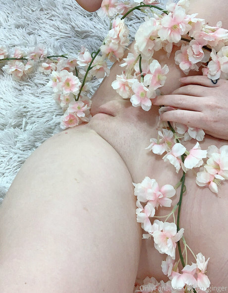 kittenginger nice model images