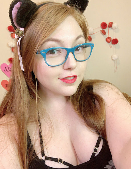 kittenginger star high quality picture