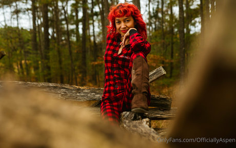 aspensnow free star free galleries