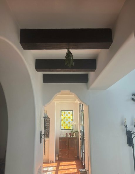 xxxsavannahsixx nice star gallery