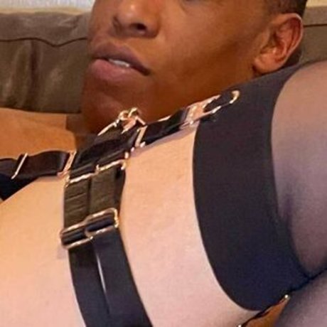 mrsamsterdam pornstar art archive