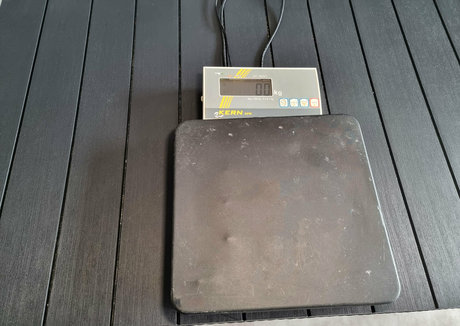 doughbellygirl high quality star photos