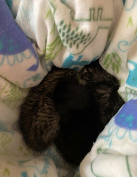 mother onlyfans art porn pictures