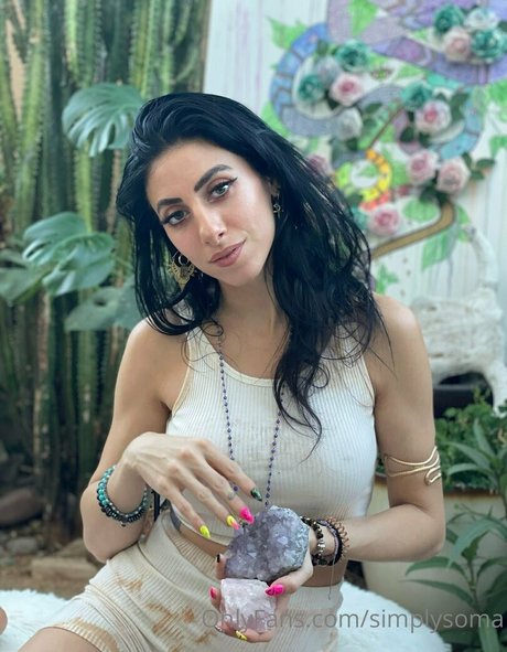 Simplysoma best model img