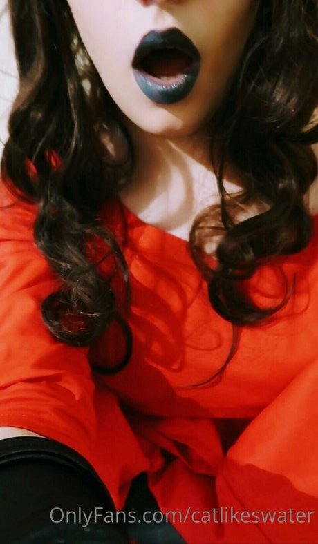 Cat Likes Water star perfect galleries