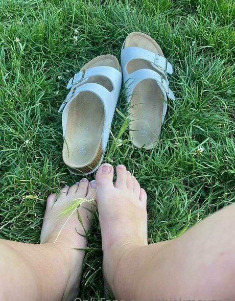 thickmouse9 porn model image