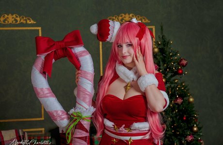 goosafree model top image