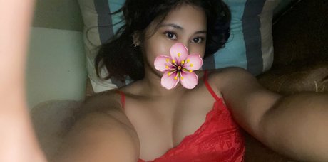 Strwbrrsh star nice archive