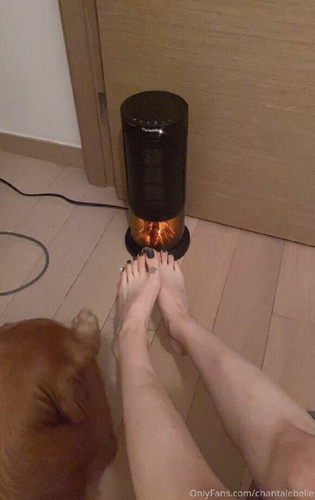 Chantalebelle art star archive