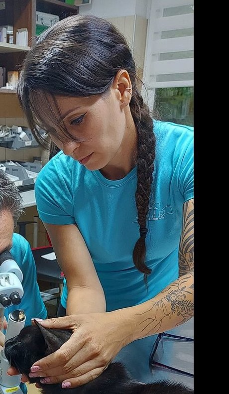 Vas Megyei Lanyok star high quality image