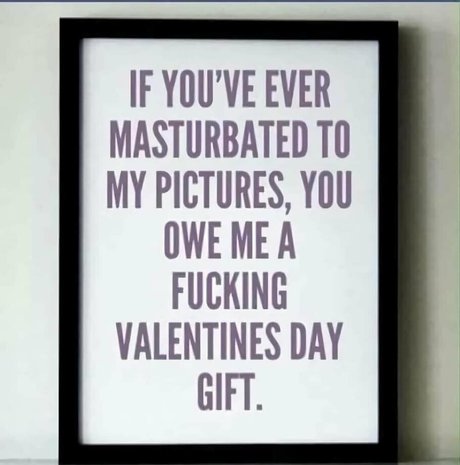 nobellastar model gallery