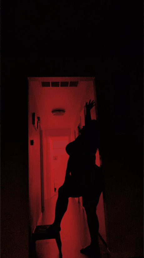 nobellastar model adult archive