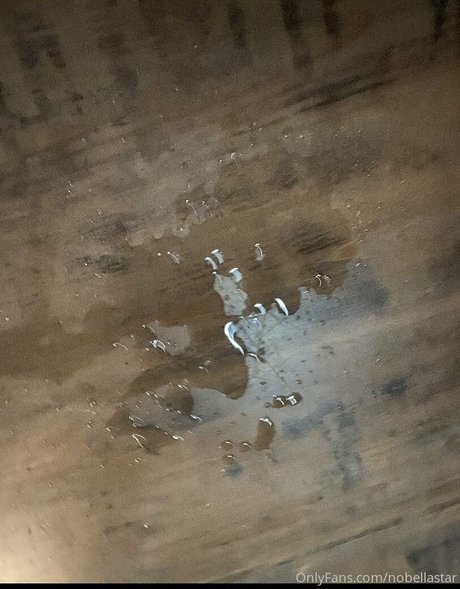 nobellastar naked pornstar photos