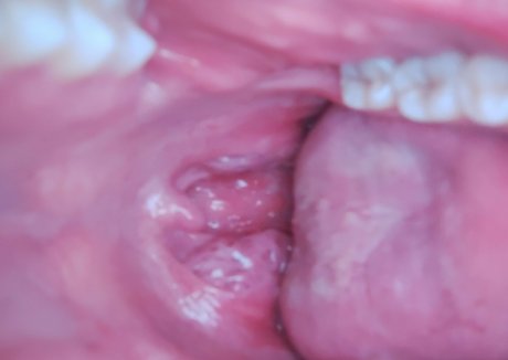 dana the lady vore sexy pornstar img