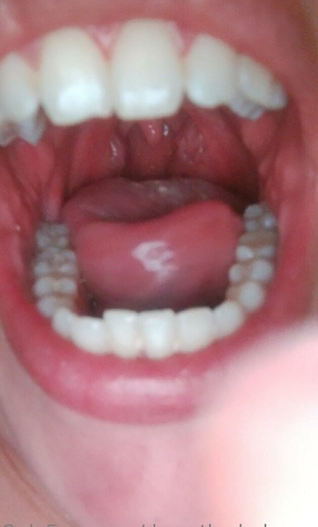 dana the lady vore best actress pics