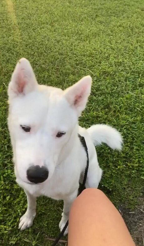 Lily Kawaii perfect actress galleries