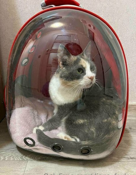 ebony pussy onlyfans erotic photos