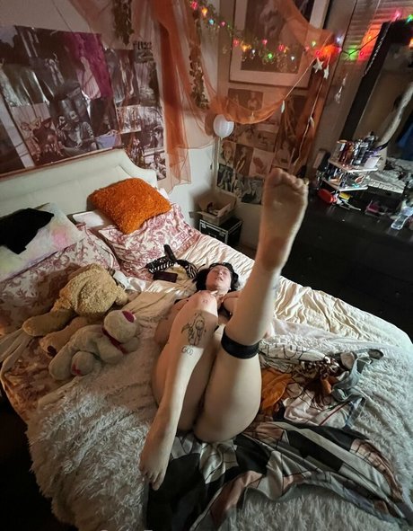 nuttingforthelord perfect star gallery