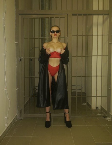 Ana maks model best img