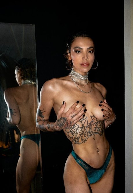 Agemg model top image