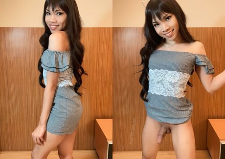 Sashimi Shush star best images