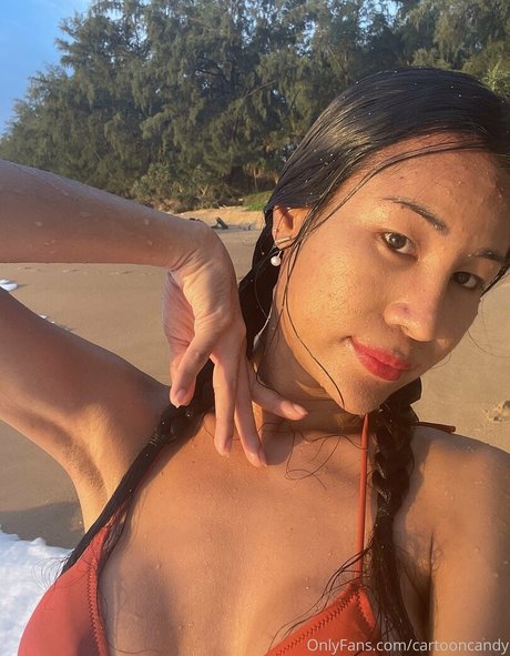 Cartooncandy star nude images