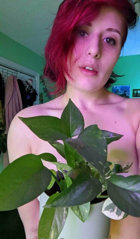 baeged naked pornstar image