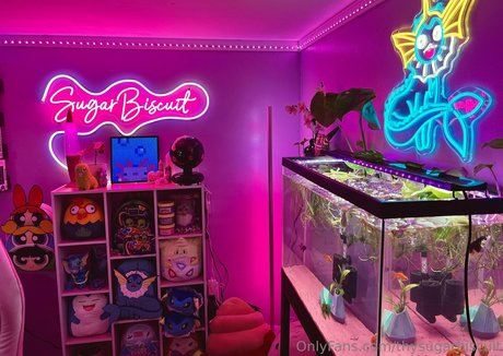 thysugarbiscuit pretty star images