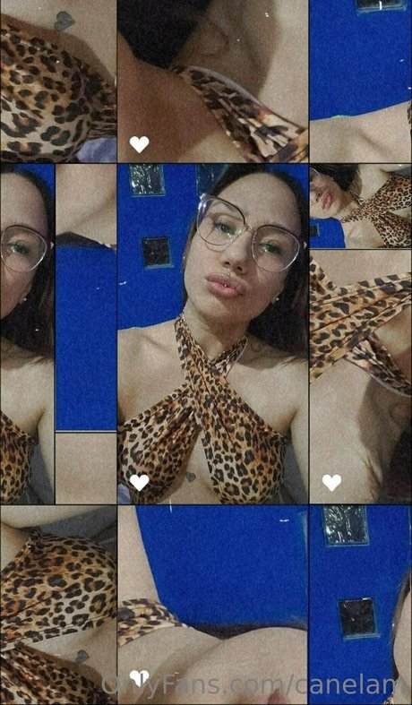 pawg girls onlyfans pornos archive