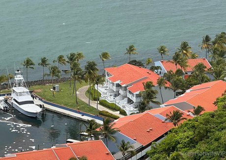 hollyhotwifevip star xxx gallery