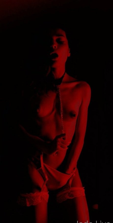 Jadelive adult star picture