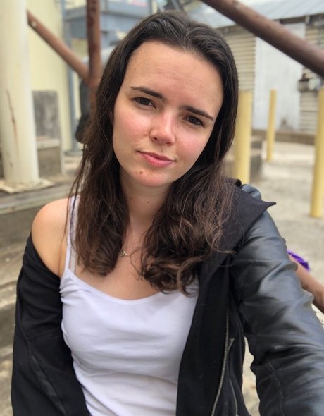 Lowco Quick model image