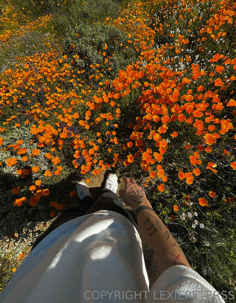 Lexiepeterss model pornographic image