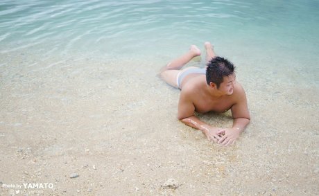 blc113 star nice img