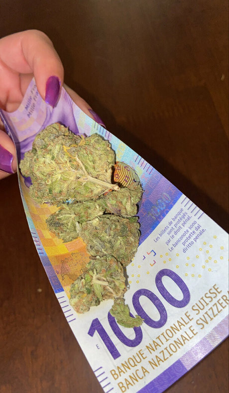 vtng br2 model xxx galleries