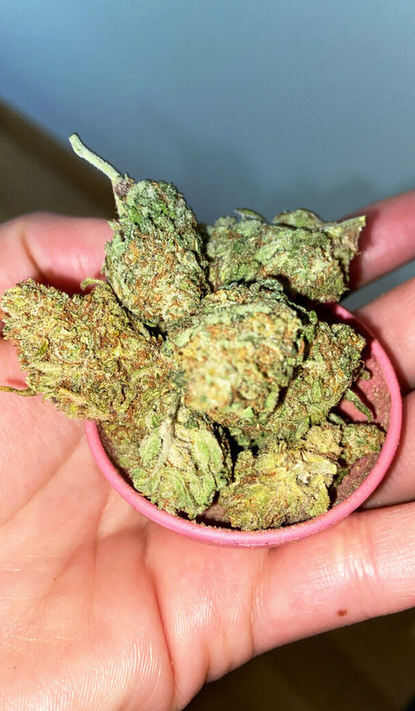 gym onlyfans free sex images