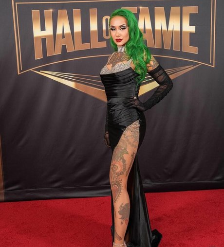 WWE Shotzi top model archive