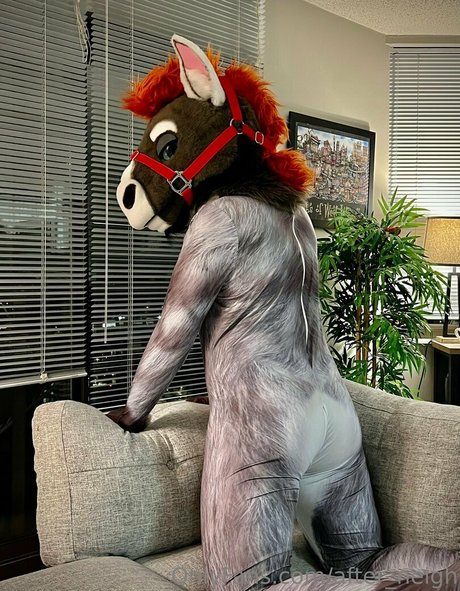 after neigh star exclusive photo