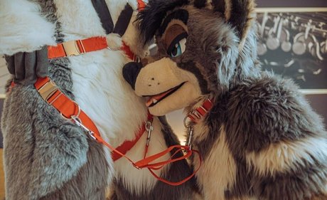 japanese blowjob onlyfans hot sex pics