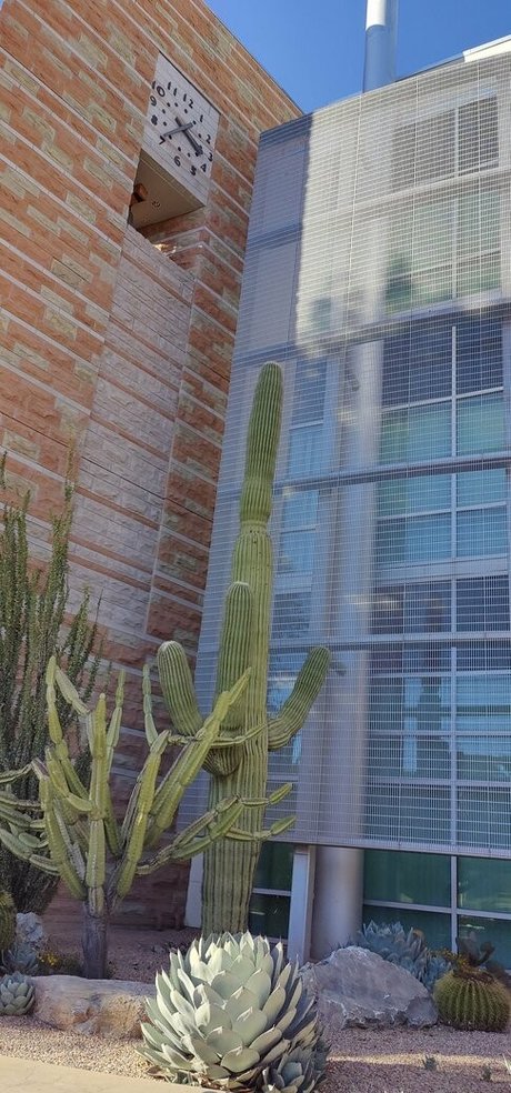 sinfullypurrfuct model xxx archive