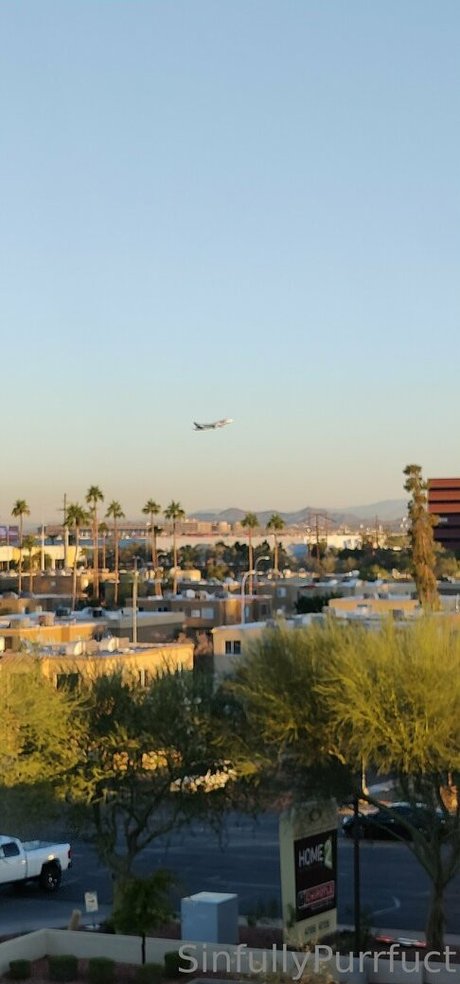 sinfullypurrfuct star nice images