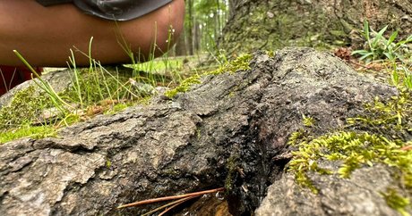 riding dildo onlyfans sexy naked picture