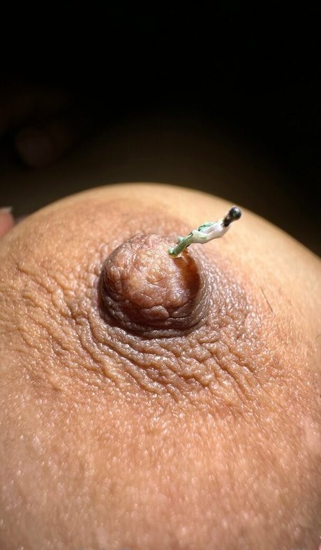 solecirilla naked star pictures