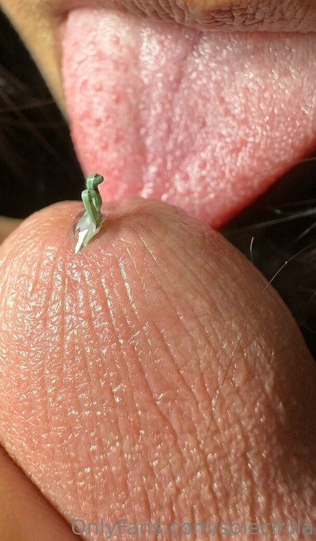 solecirilla pornstar pretty photo