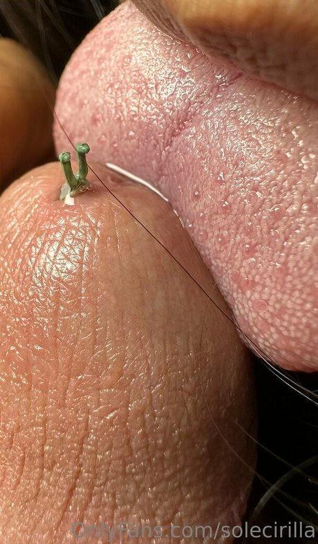 solecirilla nice model picture