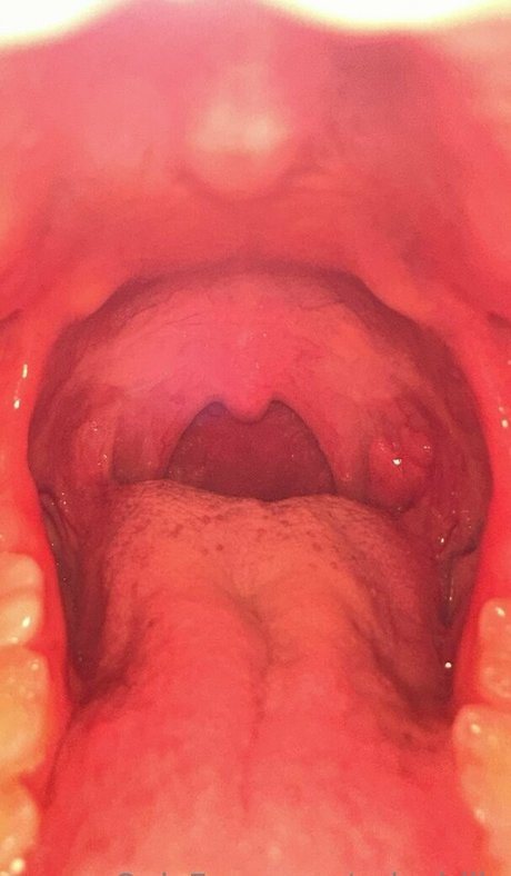 solecirilla erotic pornstar pictures