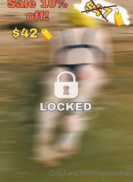 niyokochan art model archive